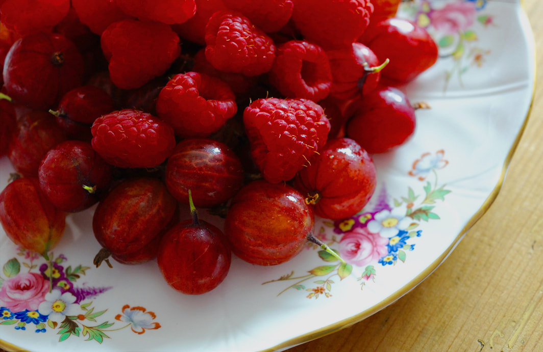 Recipe for: Miss Windsor's Pink & Spicy Gooseberry Raspberry Fool! 