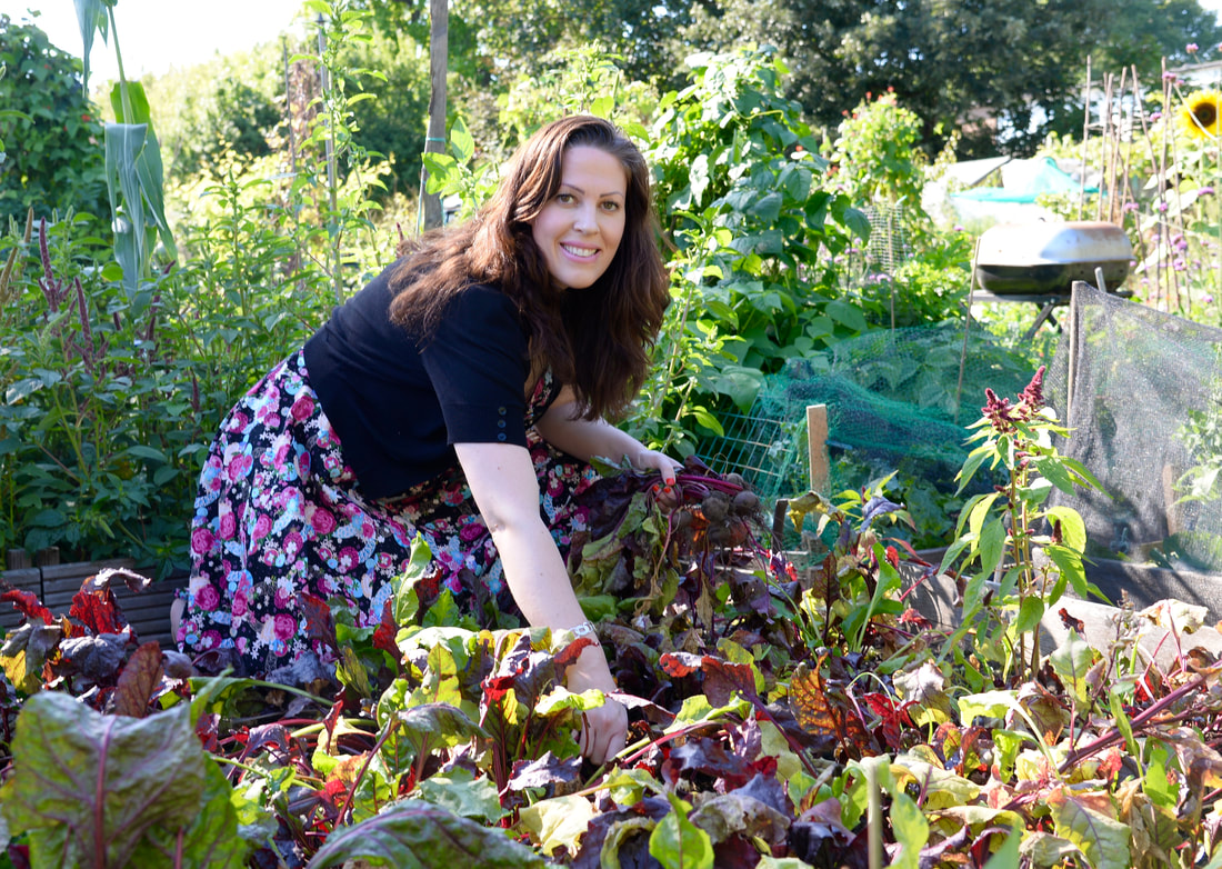 Miss Windsor pulling beetroot from Winnie's bountiful patch - Fulham Palace Meadows (allotments)