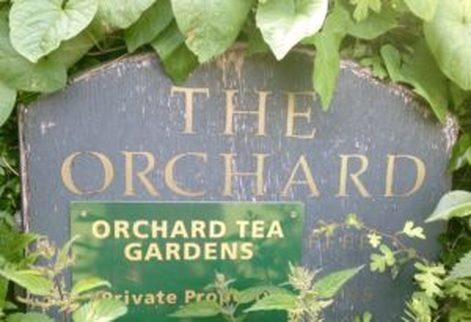Miss Windsor's Delectables - Cream Tea at The Orchard Tea Garden, Grantchester, Cambridge