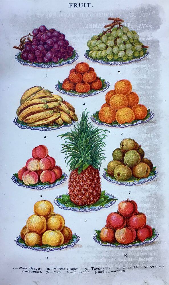 Miss Windsor's Delectables - Lithographic art illustration of - Fruit - 1906 edition of Mrs Beeton's Book of Household Management